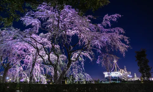 Yamashita Park