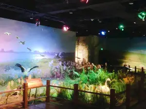 Chuzhou Museum