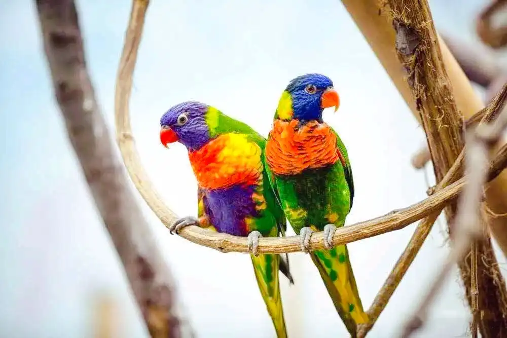 Hotels near Hainan Tropicalbird Park