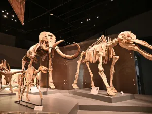 Chengdu Natural History Museum