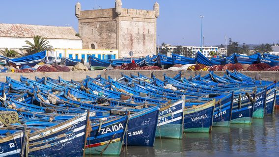 เอสซาวีราแรมพาร์ทส