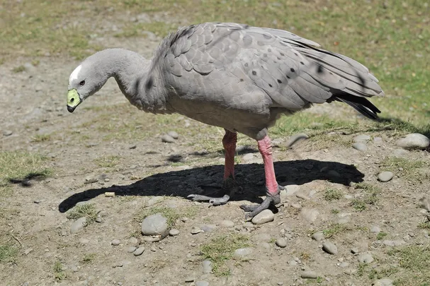 2_Willowbank Wildlife Reserve