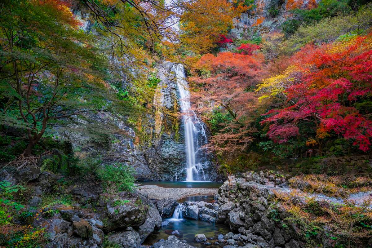 日本紅葉 | 箕面公園