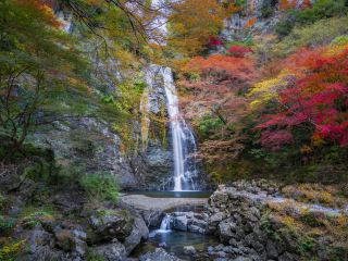 箕面のおすすめ旅館