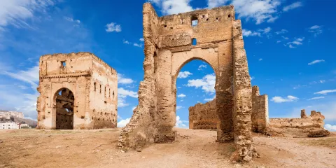 馬里尼德王朝墓地