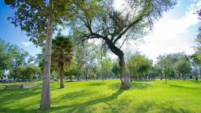 Alameda Monterrey