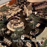Rise Buffer Restaurant- Marina Bay Sands
