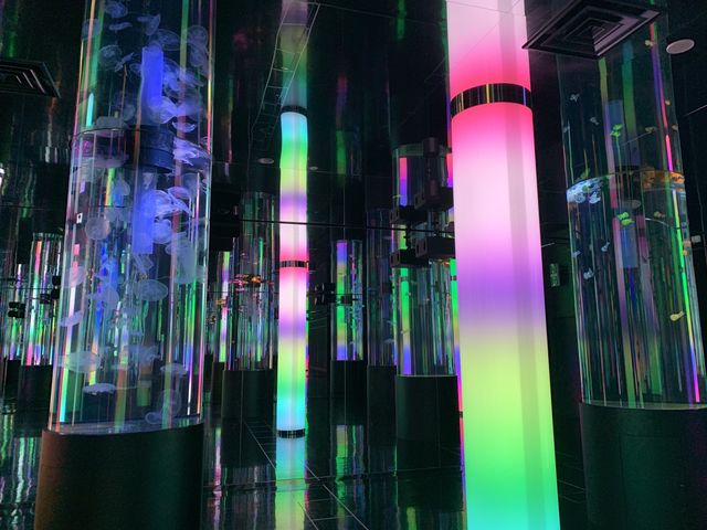 【沖縄】DMMかりゆし水族館