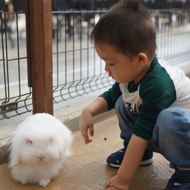 【 高質好玩的親子動物園 】