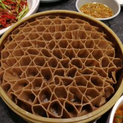 ZINI 369 CULIANG JI User Photo