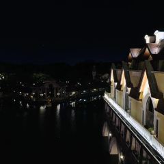 深圳东部华侨城茵特拉根酒店·湖逸轩中餐厅 User Photo