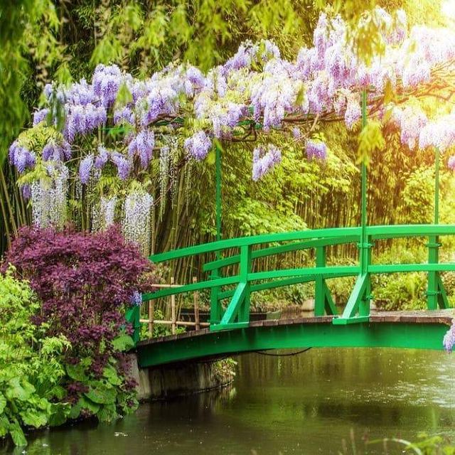 莫奈花園