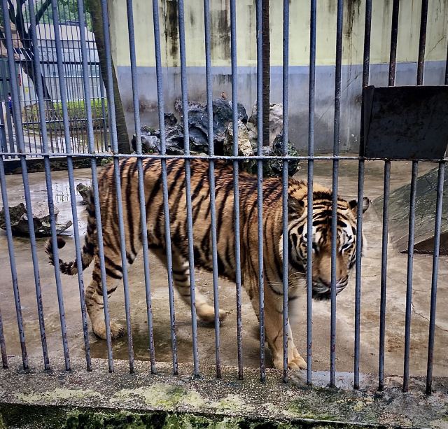 武漢動物園