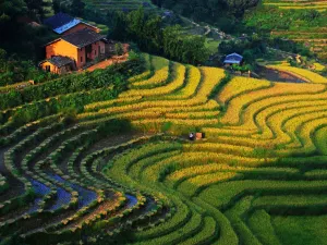 Taoyuan Terraces