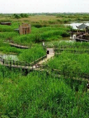 Wetland Maze, Golden Beach Scenic Area