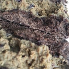 金麥軒蛋糕店(金麥軒蛋糕店)張用戶圖片