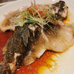 Moose (Pudong) User Photo