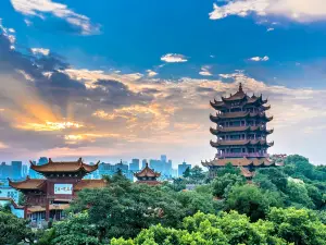 Migliori 20 Imperdibili a Wuhan