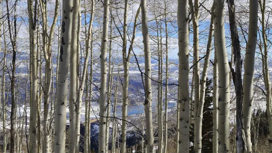 遜克縣古納溫霧凇景區
