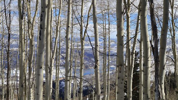 Xunke Dapingtai Wusong Sceneic Area