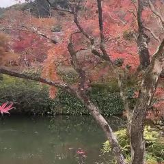 CLUB METRO User Photo