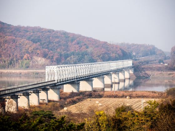 Bridge of Freedom