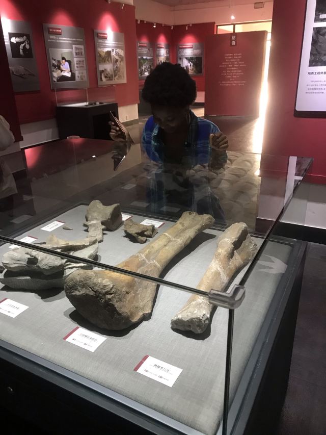 Zigong Dinosaur Museum