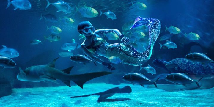 Golden Eagle International Ocean World (Changzhou)