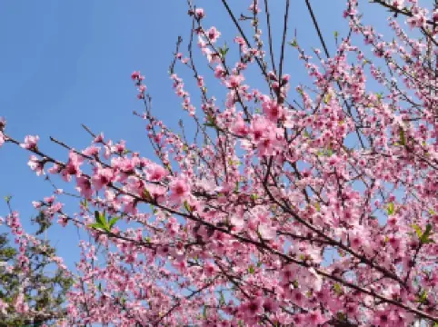萍鄉武功山風景區