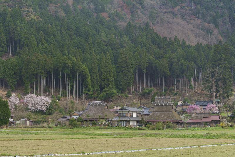 美山 かやぶきの里・北村