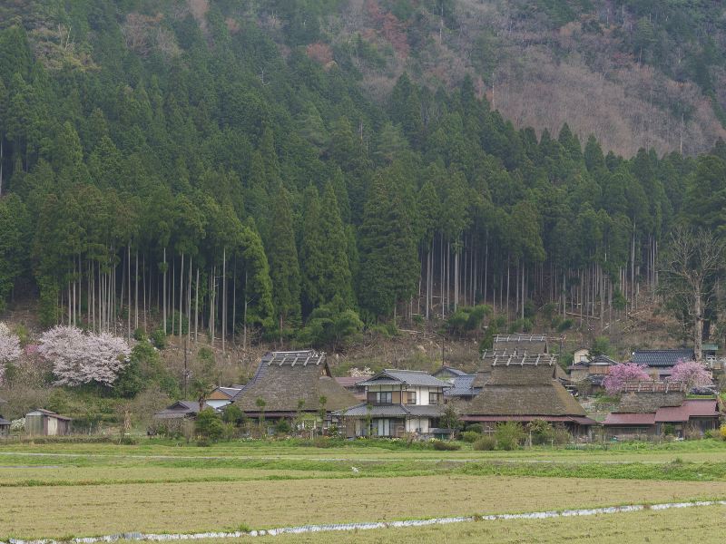 美山 かやぶきの里・北村