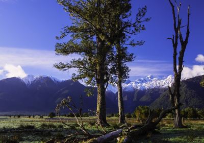 Grand Teton