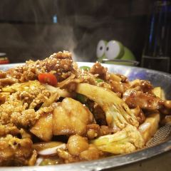 Dafengshou·cui Fish (jinjiangwanda) User Photo