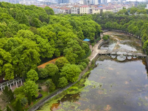 星沙生態公園