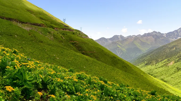 Отзывы об отеле Guanshan Yishu (Wolong Nature Reserve Giant Panda Sanctuary Shenshuping Base)