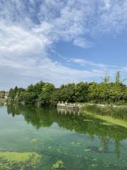 Yinxiangjiangnan Ecology Amusement Park