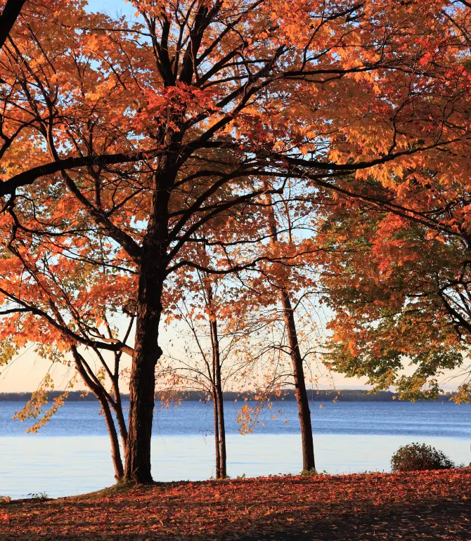 Lake Saint Louis
