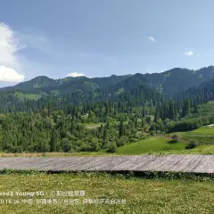 那拉提國家森林公園用戶圖片