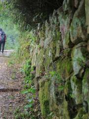 Shangqing Ancient Path