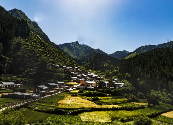 察隅