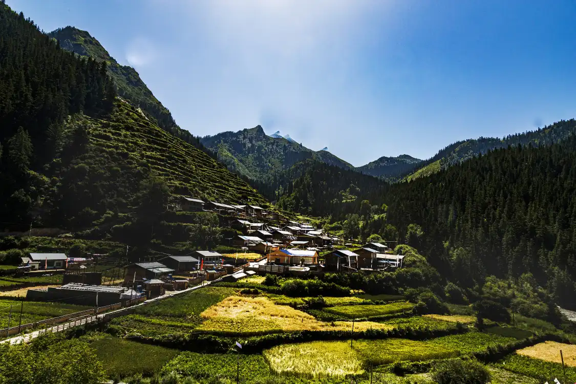 Hotels near Shangchayu Town