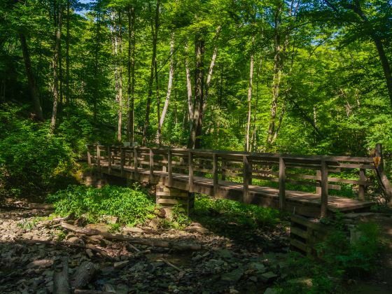 Bruce Trail