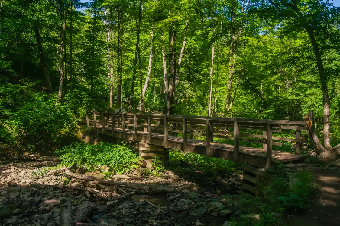 Hotels near Bruce Trail