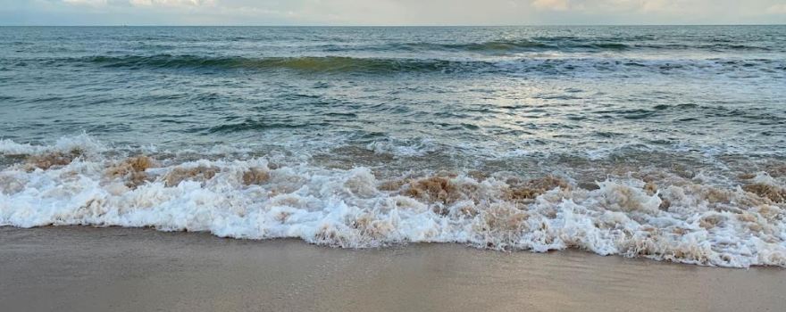 หาดวาสุกรี