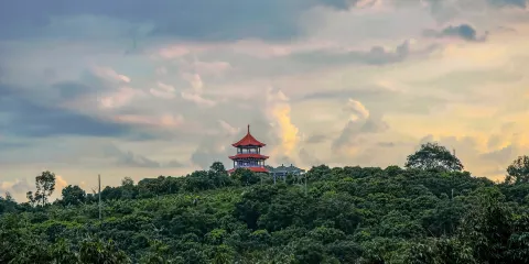 增城荔枝文化村
