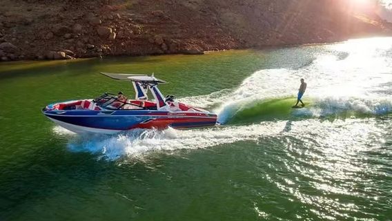 Free Deer Tail Wave Surf Club