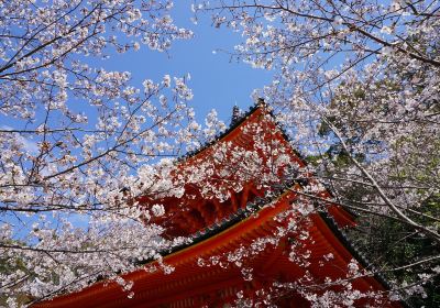 Kimii-ji Temple