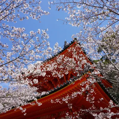 高野の高野山　金剛峯寺周辺のホテル