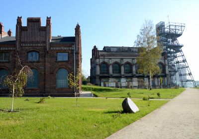 Silesian Museum