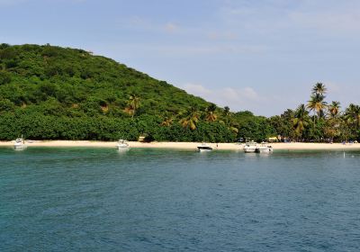 Palomino Island